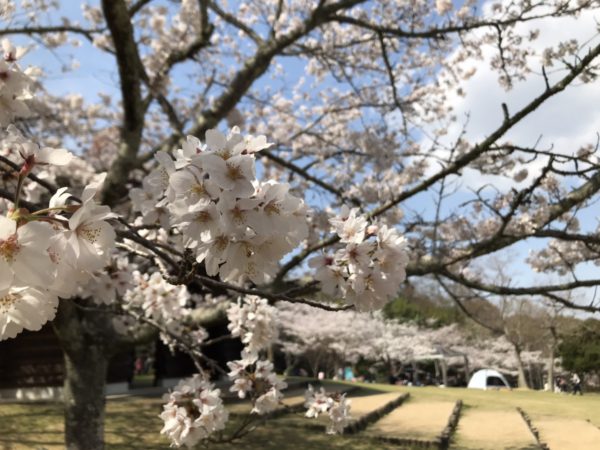 山登りレポート＜二上山＞
